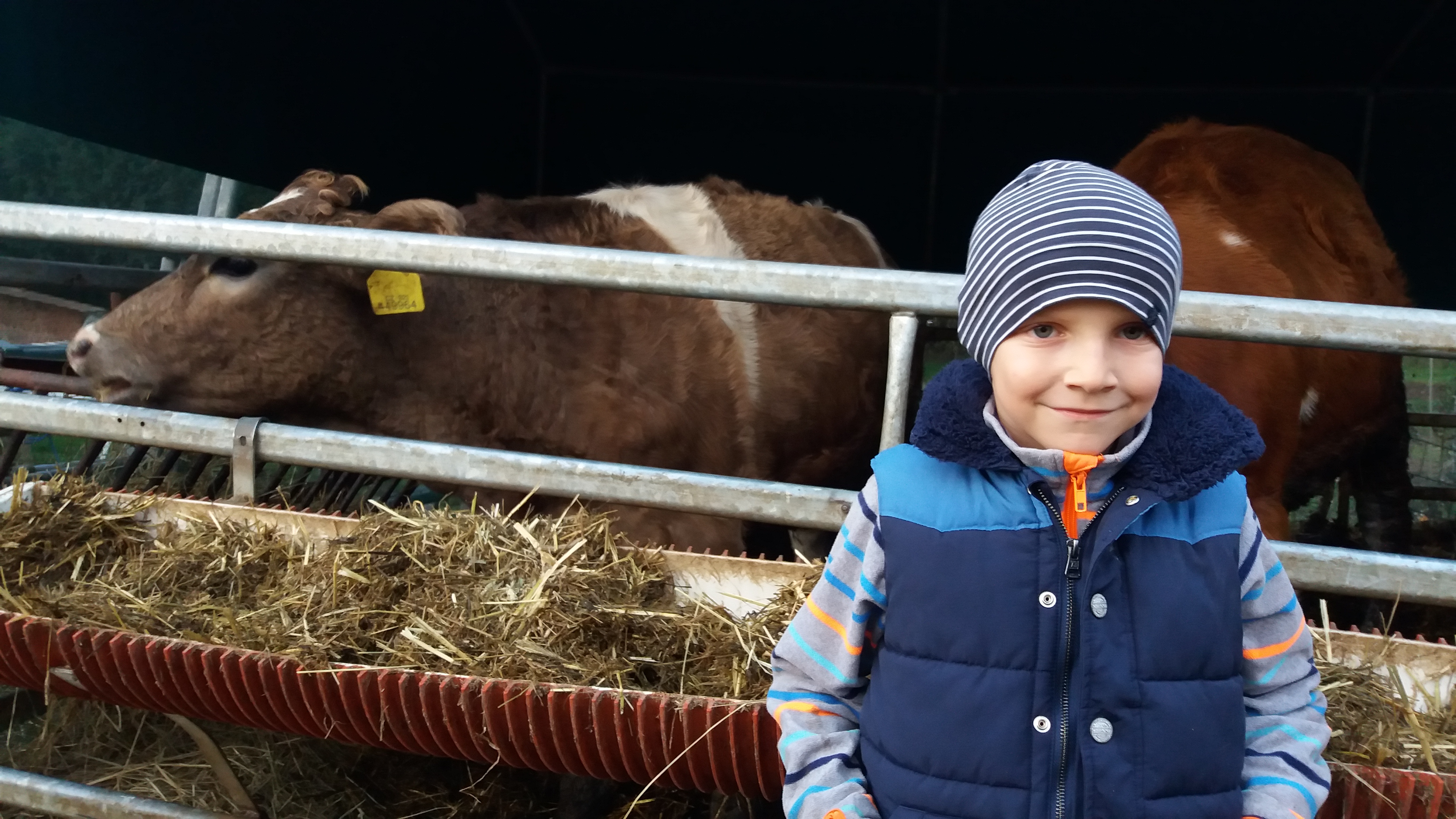 Náš spolužák Ben na farmě ve Bělči. 1