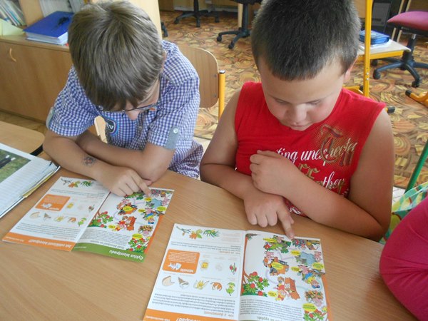 zjistili jsme, jak naložit s bioodpadem 5
