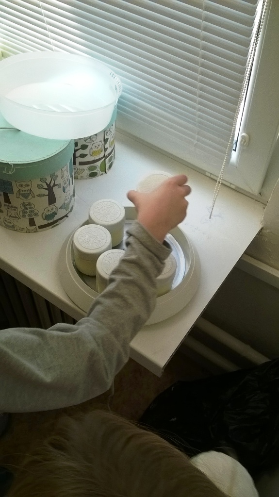 Jogurt použijeme vlastní domácí. 0